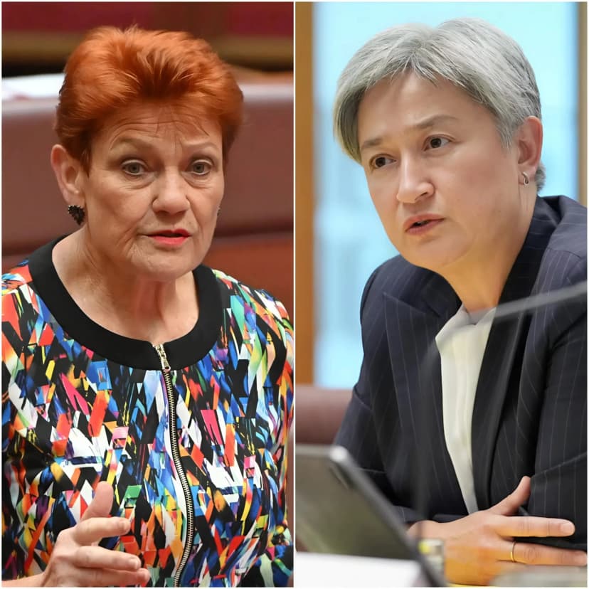 🚨 PAULINE HANSON READS PENNY WONG’S FILE OUT LOUD — AND CNN FALLS INTO STUNNED SILENCE… On live television, Pauline Hanson methodically read aloud the public record of Senator Penny Wong, line by line. No shouting. No personal attacks. No theatrics. Just a steady rhythm and carefully quoted statements, presented so calmly that the panel members seemed unsure how to react. The host hesitated. The camera lingered too long. Producers were clearly scrambling backstage. Then came the unmistakable eleven seconds of dead air — the kind of unscripted pause live television cannot handle. What Hanson chose to highlight from Wong’s record — and why no one on the panel interrupted her — quickly became the clip viewers cannot stop replaying.👇👇