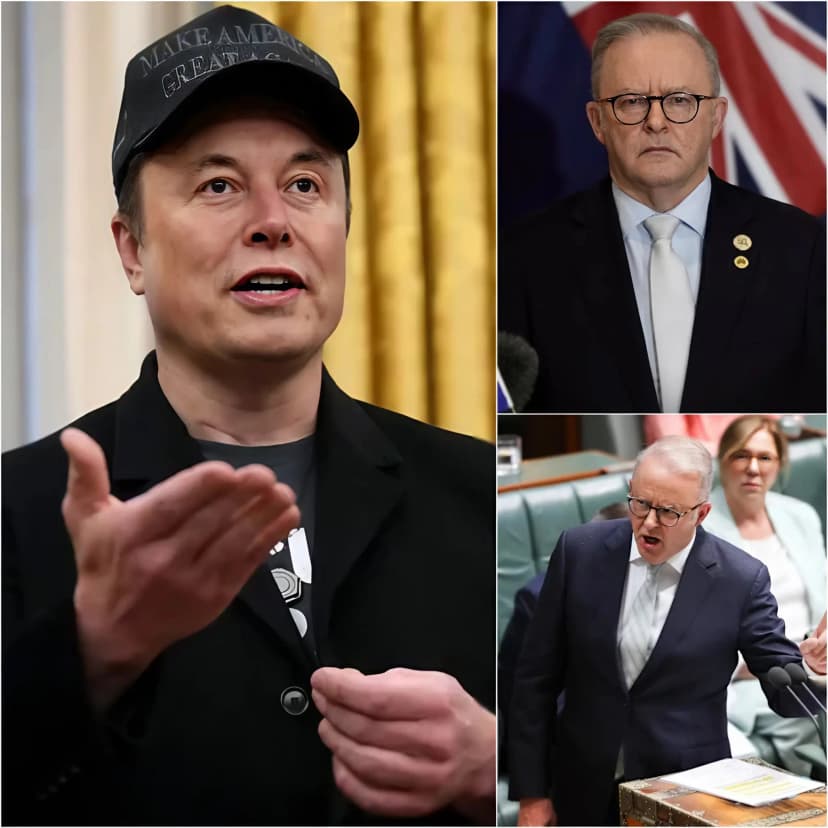 BREAKING NEWS : “LUCKY FOR ME THAT I AM AN AMERICAN” Elon Musk SHOCKED THE WHOLE WORLD by delivering a message aimed at Albo’s Labor Party: “I don’t like him and I think many people feel the same because no leader would push their own people into danger and there isn’t a single law to protect Australian citizens and emergency service workers” when veteran paramedic Kathryn McCormack was attacked in the stomach and is now waiting for surgery. But even more shocking is that the man who did it escaped jail time just because she wasn’t treating anyone at the time. “Do you people really vote for him? A man who always puts his money and position above the people. I think Australia won’t be far from returning to the Stone Age and its leaders will live luxuriously full of money.” The world’s political circles were shaken when the world’s billionaire Elon Musk directly criticized Australia’s Prime Minister.