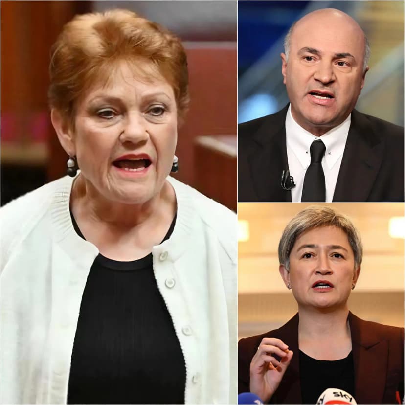 💥 PAULINE HANSON READS PENNY WONG’S FILE ALOUD — AND CNN IS LEFT IN STUNNED SILENCE… On live television, Pauline Hanson calmly unfolded what she described as Senator Penny Wong’s public record, reading it line by deliberate line. There was no shouting, no personal jabs, no theatrical flourishes — only a measured cadence and carefully cited remarks delivered with disarming composure. The panel appeared caught off guard, uncertain whether to interject or let the moment pass. The host hesitated. Cameras lingered a beat too long. Behind the scenes, producers were visibly scrambling to regain control. Then came eleven unmistakable seconds of dead air — the kind of unscripted vacuum live broadcasts are trained to avoid. Whatever Hanson chose to underscore from Wong’s record — and whatever held the panel in silence — instantly became the clip viewers can’t stop replaying. 🔍