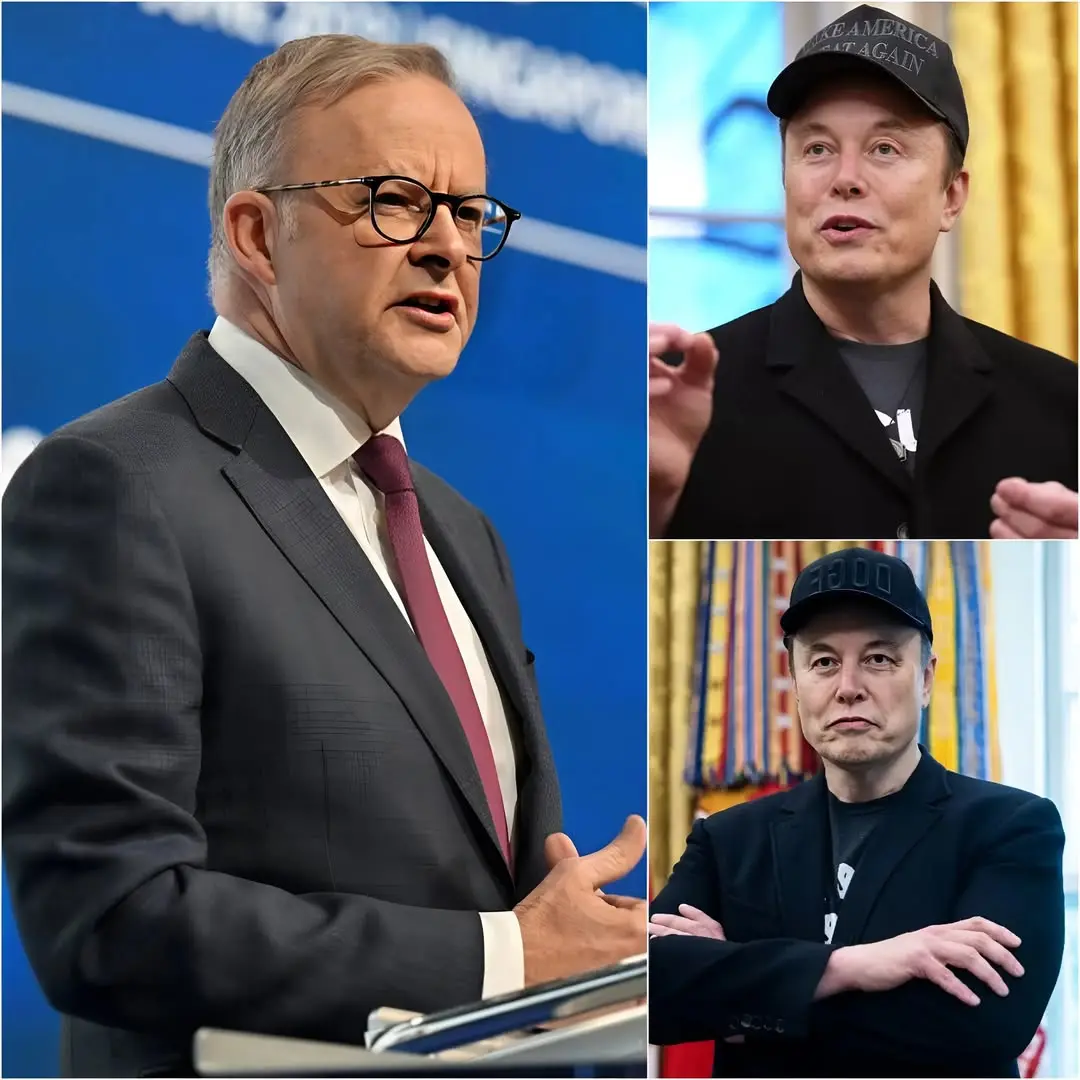 BREAKING NEWS: World billionaire Elon Musk criticizes Prime Minister Anthony Albanese and his Labor Party “thank God I was born in the USA and don’t have to endure the enormous taxes caused by others”, is he really elected as prime minister for a country or did he use borrowed people’s money to buy votes and now tax them with that money. No prime minister would allow those who abandoned their country to give birth and support terrorist elements to return to their country and grant citizenship like real Australians. I think not only Bondi, in the future there will be many more incidents even worse if he remains prime minister. Immediately, Albanese retaliates by saying that Elon Musk, “is a guy with money from another country but wants to interfere in Australia, Musk you don’t have that right”. US and Australian politics tense as Elon Musk makes a statement shocking the entire political world