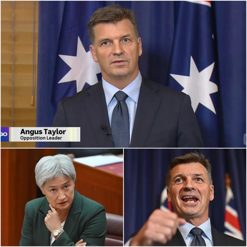 BREAKING NEWS 🚨 Conservative MP Angus Taylor – the newly elected Opposition Leader – announced a shocking amendment to the “Combatting Antisemitism, Hate and Extremism Act,” requiring only those BORN IN AUSTRALIA to hold sensitive positions in national security, intelligence, or the Home Office – directly citing the Bondi Beach massacre and the case of 34 ISIS-linked families from al-Roj camp in Syria who attempted to “escape” back to Australia but were stopped. He stated emphatically: “After Bondi and the threat from Syria, Australia cannot take any more risks! Security leaders must be genuine Australians from birth – no naturalization, no dual loyalty, no risk from those who chose ISIS over Australia!” The Coalition, One Nation, and a host of conservative voters applauded enthusiastically, calling it a “turning point for the security of Indigenous people,” with polls showing a surge in support of 15-20% in NSW/VIC/QLD. Penny Wong angrily called it a “blatant racist attack, exploiting fear to divide,” but public opinion largely supported Taylor because the fear of terrorism still lingered after Bondi. Just 12 minutes later, Angus Taylor immediately responded with a concise 11-word statement that was both brief and scathing…