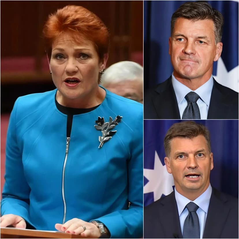 🚨 JUST IN: Australia’s political temperature has surged after the Senate voted 36–17 to censure Pauline Hanson, following remarks about Muslims that critics say crossed a line from political debate into harmful rhetoric.