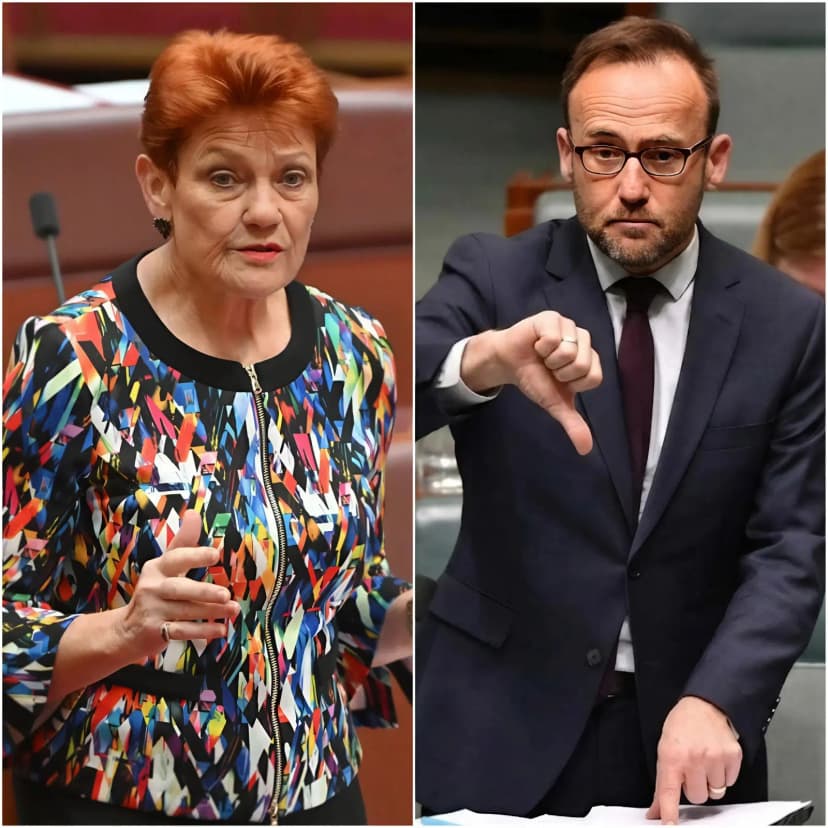 🚨 “Say one more stupid word, old lady, and I’ll humiliate you on national television,” Adam Bandt fired straight across the chamber, his voice slicing through the air like a razor blade. Conversations died mid-sentence as he leaned forward, a razor-thin smile hinting that he was ready to torch Pauline Hanson’s credibility right then and there. But Hanson didn’t blink. She rose slowly, locking eyes with him in a stare so steady it felt preloaded with impact. The tension coiled tight enough to snap. “You want humiliation?” she replied evenly, stepping toward the microphone with unhurried confidence. “Try surviving this.” A murmur rolled through Parliament—equal parts shock and anticipation. Bandt’s smile flickered for a split second. Then Hanson dropped a verbal grenade that detonated into audible gasps, scattered laughter, and stunned silence. Reporters pounded their keyboards as if racing a deadline siren. In less than half a minute, the energy had completely reversed: Bandt rigid, Hanson composed, and the entire chamber crackling with electric disbelief.