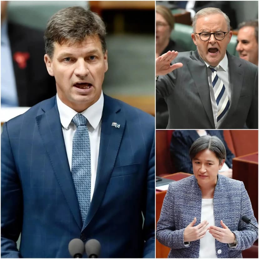“HE IS SUPPORTING TERRORISM AND PUTTING AUSTRALIA AT RISK” — During a tense Question Time in Parliament, Angus Taylor ignited fierce controversy after accusing the government of “gambling with national security” by issuing passports to individuals he described as “ISIS sympathisers,” warning that any miscalculation could endanger the Australian public. Prime Minister Anthony Albanese and Foreign Minister Penny Wong avoided providing specific details, prompting the opposition to intensify its attacks, claiming the administration lacks transparency and is not sufficiently tough on counterterrorism. The atmosphere in the chamber quickly grew heated, marked by rapid and confrontational exchanges.