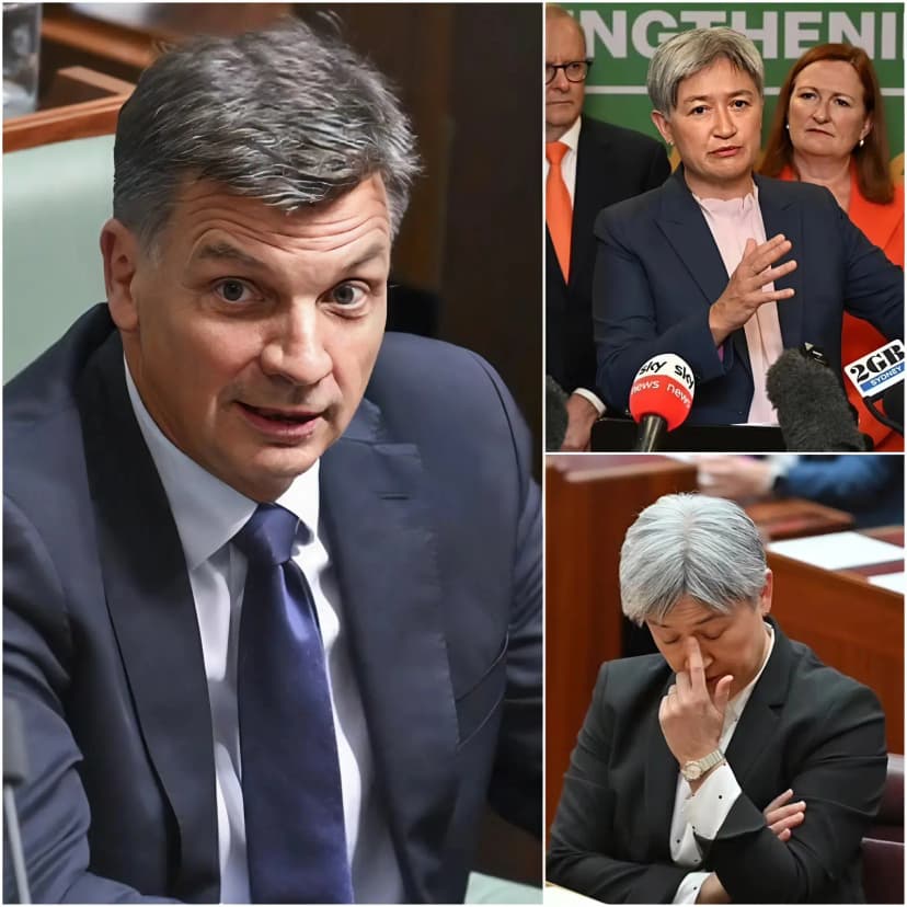 🚨 “SHOCKING NEWS”: Angus Taylor Drops Bombshell — Penny Wong’s $120 Million Scandal Exposed Live in Parliament