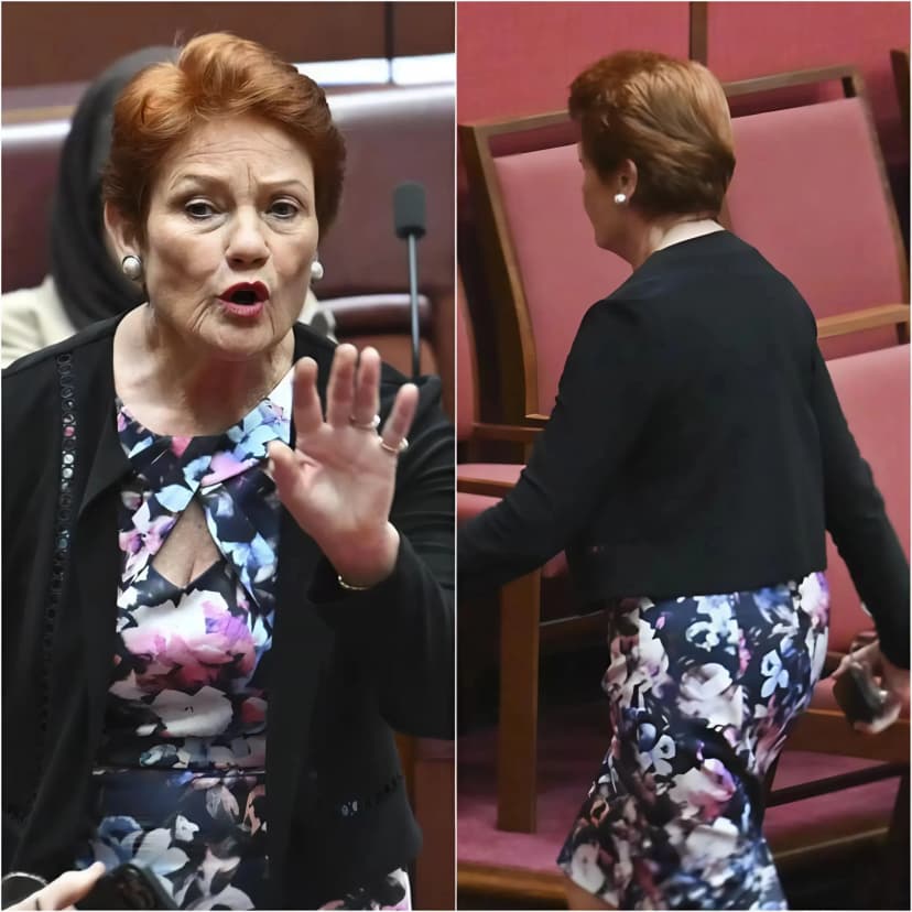 🔥 POLITICAL EARTHQUAKE: Pauline Hanson’s EXPLOSIVE Senate WALKOUT Rocks Australia – Parliament in CHAOS, Nation ERUPTS in OUTRAGE!