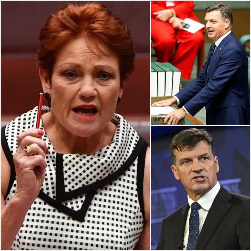 THE DUAL-FLAG CRISIS: Why Pauline Hanson’s “Loyalty” Declaration and Angus Taylor’s Aggressive New Bill Have Just Triggered the Emergency Disqualification of 14 Federal Politicians in 2026