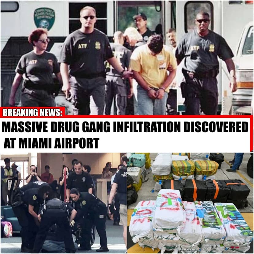 🚨💥BREAKING NEWS: MASSIVE DRUG GANG INFILTRATION DISCOVERED AT MIAMI AIRPORT 💥🚨