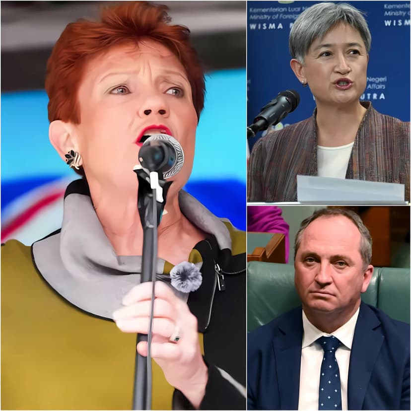 “Only Those Born In Australia Are Allowed To Hold Power, And Having Dual Citizenship Must Be Banned In Parliament.” – Barnaby Joyce Slammed A File Onto The Table In The Australian Parliament As He Introduced A Shocking New Bill.