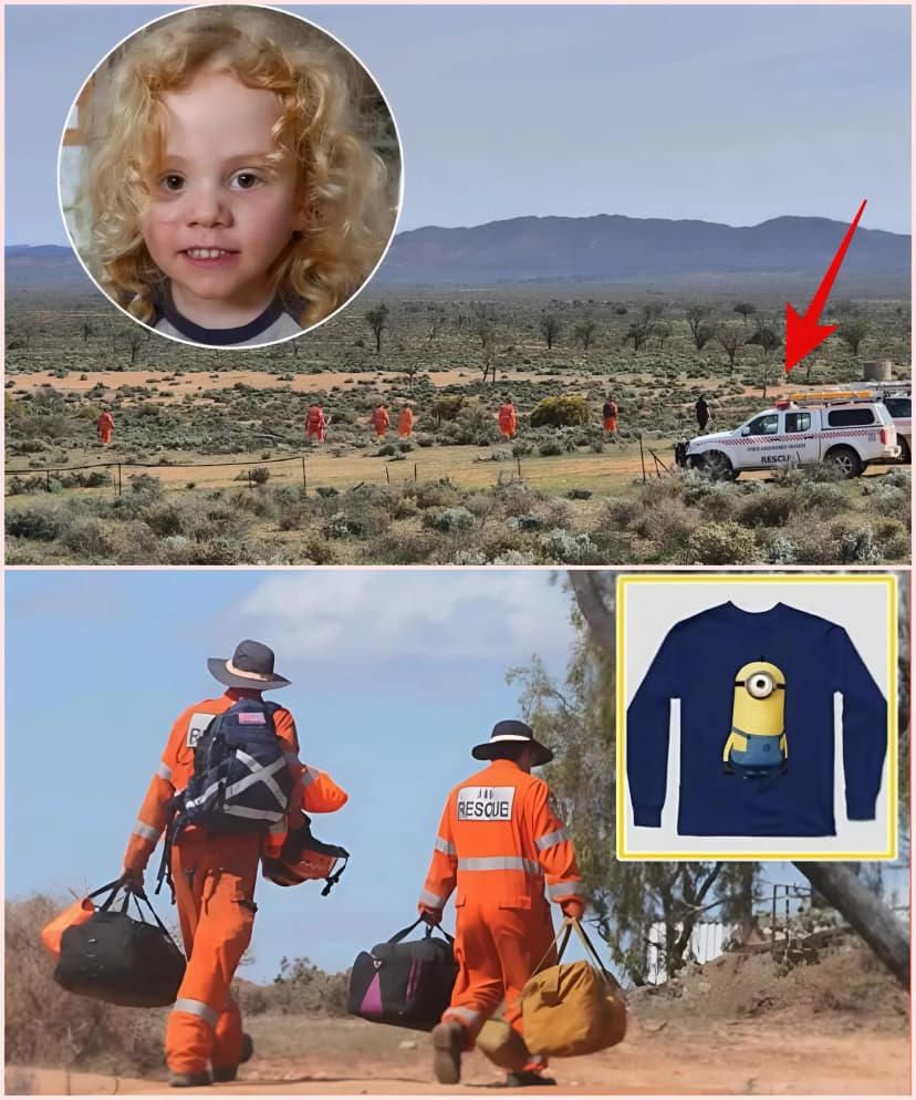 😭💔 “GUS LAMONT IS ALIVE!”: Parents of 4-year-old boy weep uncontrollably after their son’s miraculous return — The chilling truth is finally revealed after 7 days of desperate searching, shocking Australia and the world. The reason Gus survived the silence that lasted for those long days is revealed.