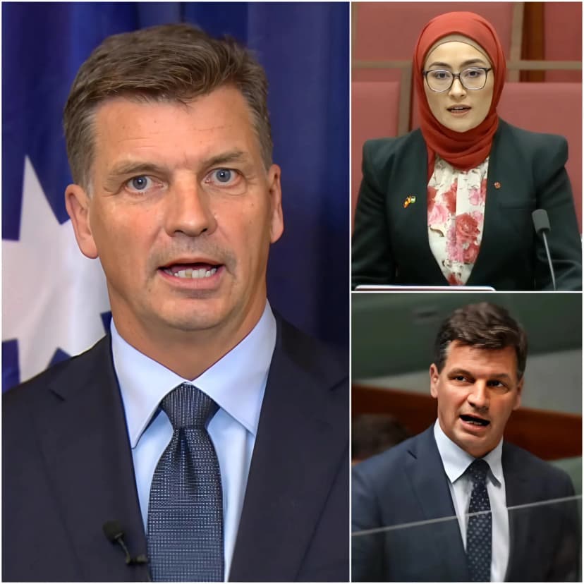 FATIMA PAYMAN’S $15M DEFAMATION SUIT AGAINST ANGUS TAYLOR COLLAPSES IN COURT: ONE WHISTLEBLOWER’S 9-SECOND BOMBSHELL TESTIMONY DESTROYS HER REPUTATION – “SHE SIGNED EVERY SHADY CLAIM”!