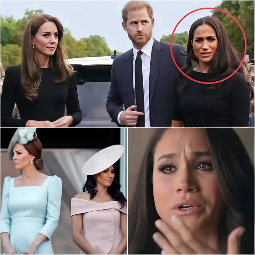 “MEGHAN WAS NEVER TREATED LIKE KATE.” Prince Harry reportedly exploded in anger, insisting his wife Meghan Markle was never treated as fairly as Catherine,