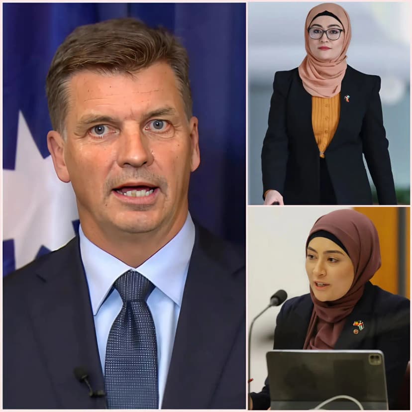 FATIMA PAYMAN’S $15M DEFAMATION SUIT AGAINST ANGUS TAYLOR COLLAPSES IN COURT: ONE WHISTLEBLOWER’S 9-SECOND BOMBSHELL TESTIMONY DESTROYS HER REPUTATION – “SHE SIGNED EVERY SHADY CLAIM”!