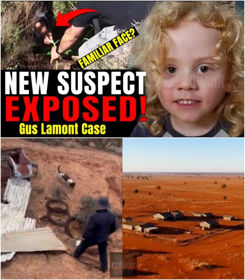 🚨“WE MAY FINALLY BE CLOSE.” — Detectives Return to Oak Park Station as a NEW Suspect Is Linked to the Disappearance of Gus Lamont… Sparking Fresh Hope — and New Questions — in the Search for Answers