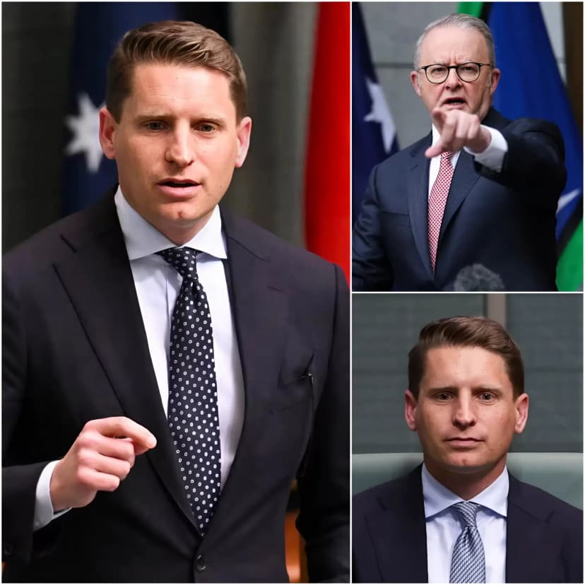 “DRIVE THEM OUT OF AUSTRALIA! WE CANNOT LIVE WITH THOSE WHO BETRAYED THIS COUNTRY TO FOLLOW TERRORIST ELEMENTS — LOCK THEM UP OR SEND THEM BACK WHERE THEY BELONG!” Andrew Hastie has revealed what he claims is all the evidence showing that Albo granted citizenship and allowed ISIS brides to return easily.