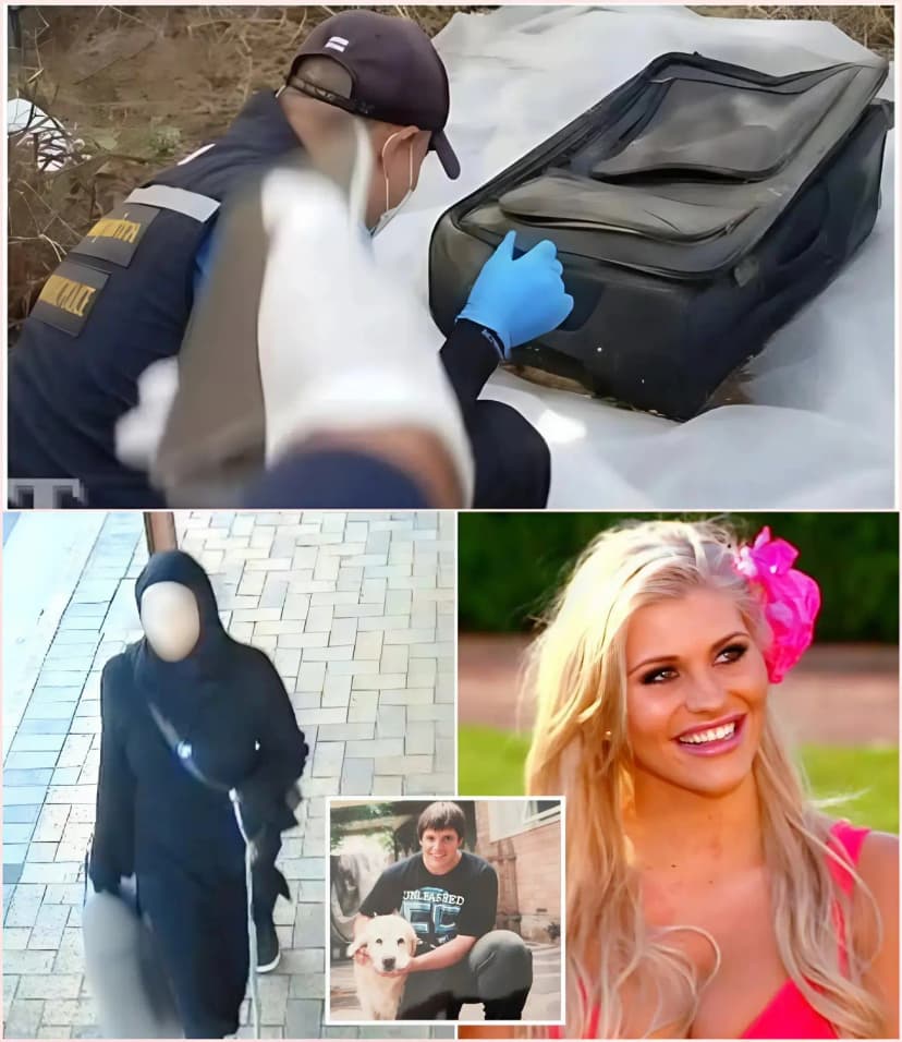 😭💔 SHOCKING CASE IN PORT LINCHIN: Police found a suitcase in the basement of a house. Tamika Chesser is the perpetrator; police released DNA evidence that left viewers heartbroken.