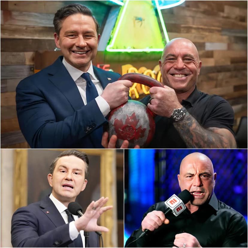 ‘Shut Up And Stop Spouting Nonsense’ – Pierre Poilievre Unexpectedly Issued A Harsh Warning On The Radio After His Controversial Statement, Revealing The Simmering Frustration He Had Previously Hinted At In His Conversation With Rogan.”