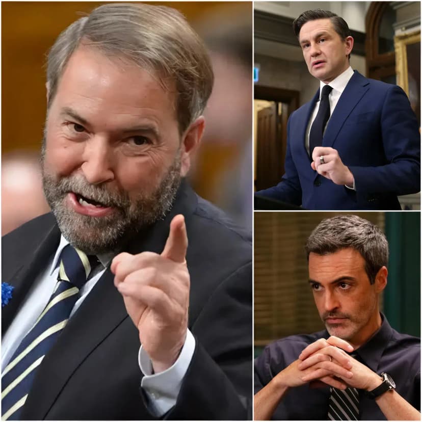 10 Minutes Ago 🚨 Former NDP Leader Tom Mulcair Unexpectedly Praised Pierre Poilievre Right In Front Of Liberal Party Members—Sparking A Tense Behind-The-Scenes Confrontation That Left Everyone Stunned. Even More Shocking Was The Moment Scott Reid, Displaying A Visibly Disgruntled Attitude, Spoke Out: “HE DOESN’T DESERVE IT!”