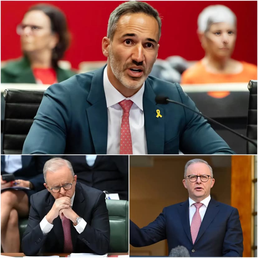 🚨 JUST 2 MINUTES AGO: ALBANESE FALLS SILENT AS ALEX RYVCHIN PUBLICLY CRITICIZES HIM ON LIVE TV ⚡ Australia’s political scene was shaken by a tense live broadcast moment, as Alex Ryvchin unexpectedly confronted Prime Minister Anthony Albanese in an exchange that quickly escalated into a heated debate.