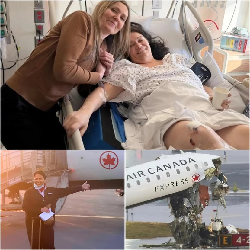 After Being Thrown More Than 320 Feet In The Violent Impact, She Remains In A Long And Painful Cycle Of Surgeries And Recovery. Her Family Has Turned To Public Support, Quickly Surpassing $100,000 In Donations. But Behind The Fundraising, A Controversial Decision Is Now Said To Have Blocked Compensation Over “Internal Reasons.”