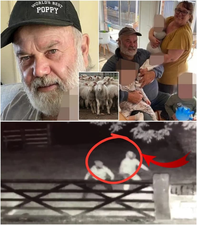 💔 THE FAMILY OF RICHARD WILLS SAID HE ALWAYS CHECKED THE EAST PADDOCK AT 2PM