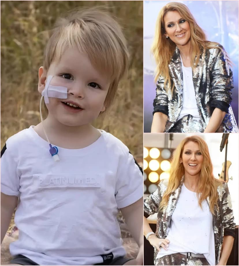 Few people knew—until the hospital finally spoke out: Céline Dion had quietly paid for a life-saving brain tumor surgery for a 9-year-old girl after meeting her at a meet-and-greet event.